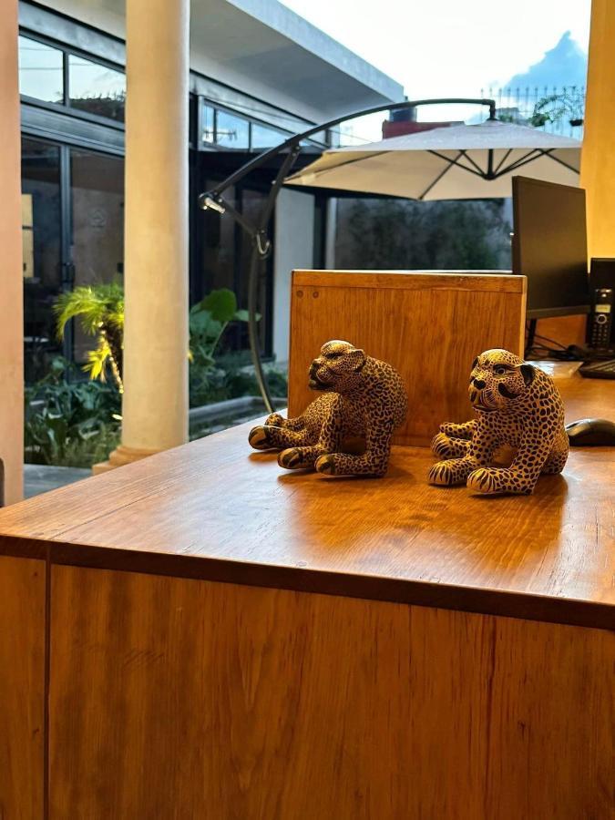 Hotel Boutique Casa San Cristobal ซานกริสโตบัล เด ลาสกาซาส ภายนอก รูปภาพ